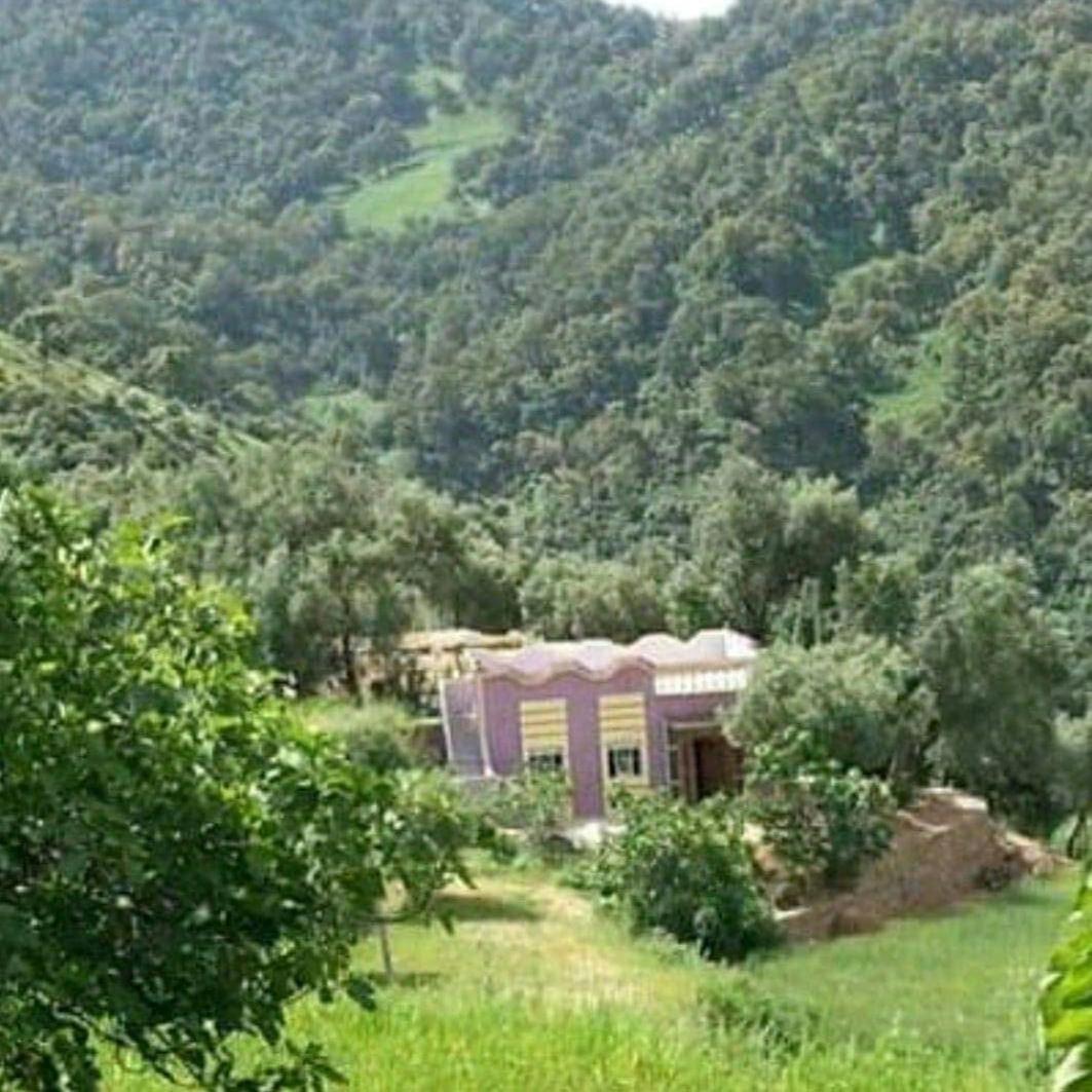 دار الضيافة تازكة Maison D'Hotes Tazekka تازة المظهر الخارجي الصورة