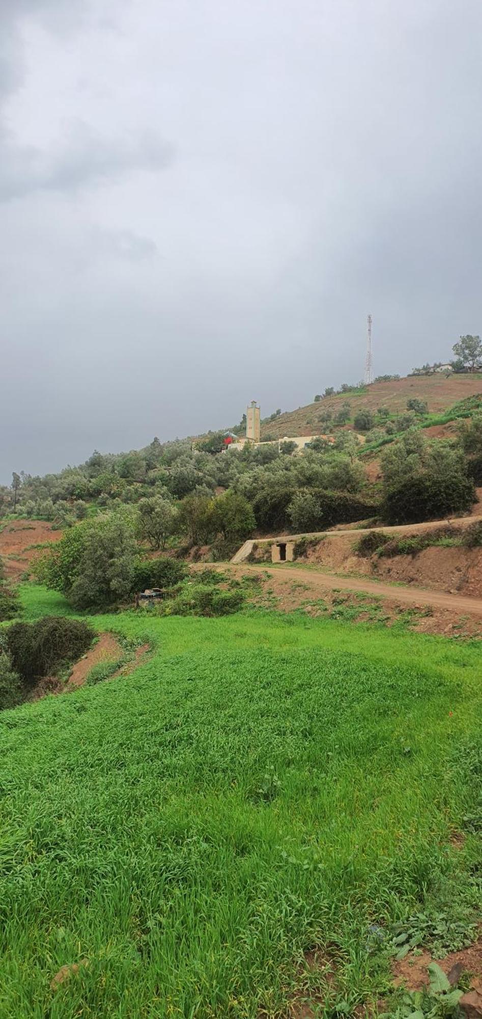 دار الضيافة تازكة Maison D'Hotes Tazekka تازة المظهر الخارجي الصورة