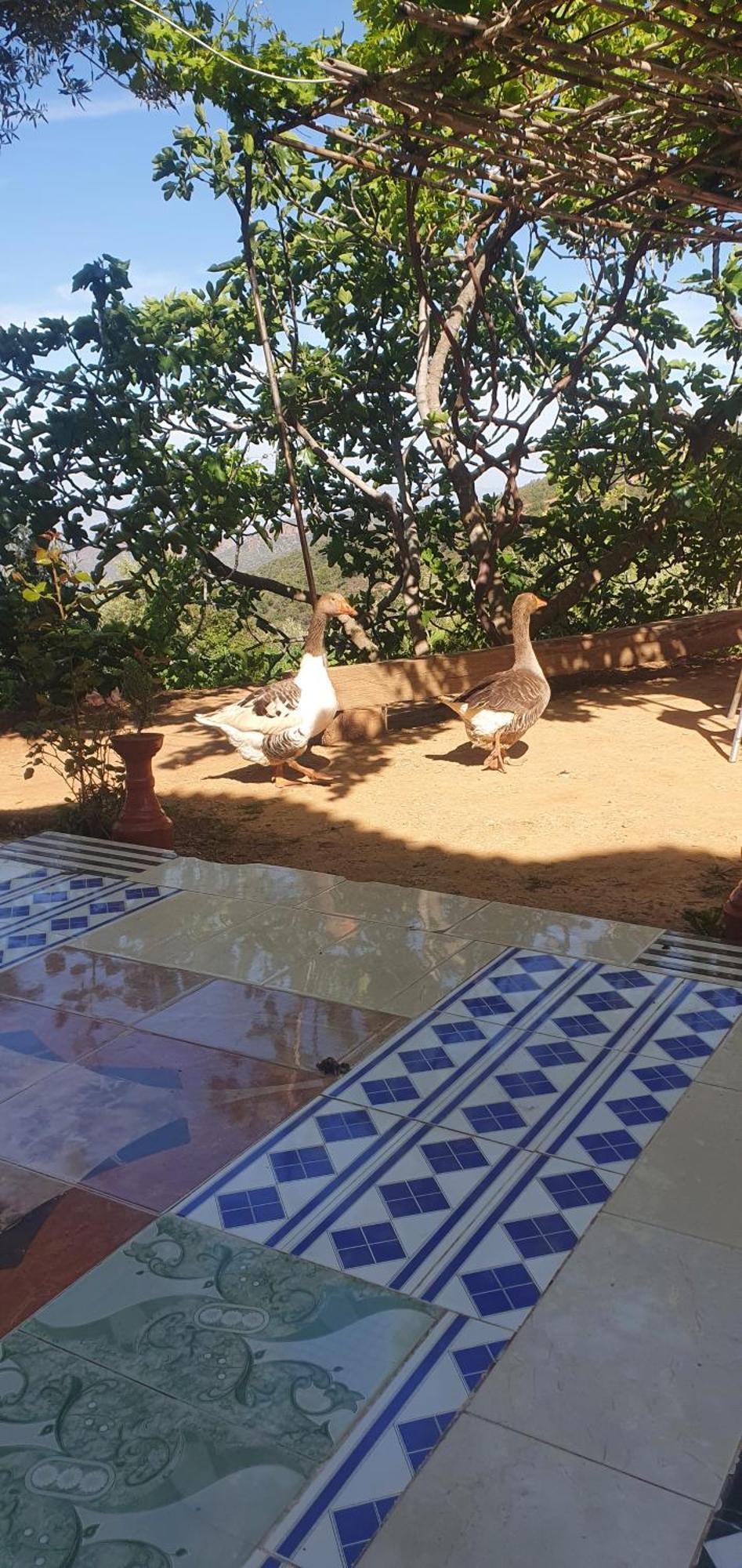 دار الضيافة تازكة Maison D'Hotes Tazekka تازة المظهر الخارجي الصورة